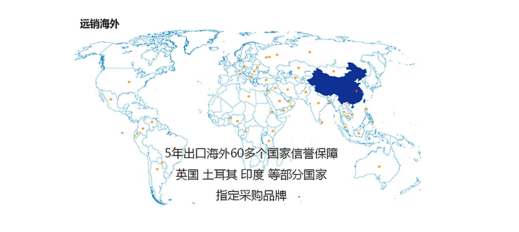 海外市场.jpg