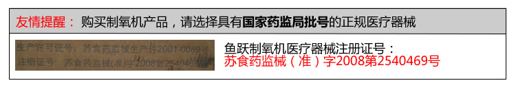 鱼跃.jpg