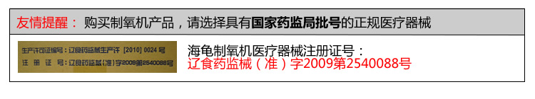 海龟.jpg